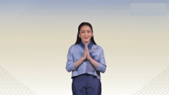 年泰国旅客人次达