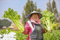 <b>1992年出书的《脱节贫苦》一书中如许描述：“大</b>