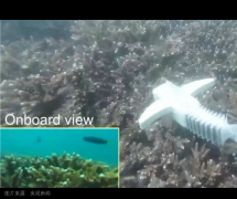 当通用大模子招鲜吃遍天”的独大时代已然过去